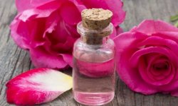 Как приготовить косметическое розовое масло своими руками из лепестков роз