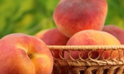 Чем полезен персик для кожи лица — рецепты масок