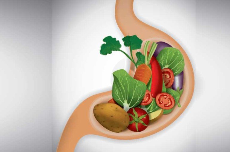 Существует ли "растянутый" желудок и как приучить себя есть меньше