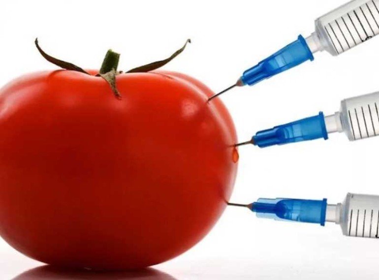 Почему не стоит бояться ГМО на диете