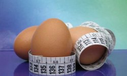 Двухнедельная яичная диета, так ли она эффективна? Разбираем детали данной диеты