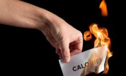 Сколько калорий реально сжечь в домашней тренировке