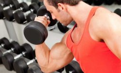 Как накачать красивые мышцы без тяжелых весов