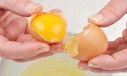 Как приготовить домашний шампунь на яичном желтке не хуже магазинного