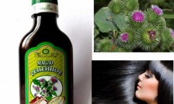Как применять репейное масло для лечения волос в домашних условиях
