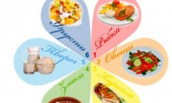 Диета «7 лепестков»: на чем основывается и правила питания