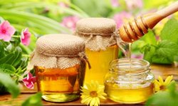 Мед — продукт без срока годности
