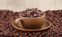 Польза кофе для красоты и здоровья. Рецепты красоты