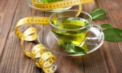 Как правильно пить зеленый чай, чтобы похудеть
