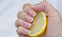 Как восстановить ломкие ногти с помощью меда и лимона