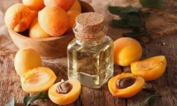 Как абрикосовое масло поможет предотвратить появление ранних морщинок
