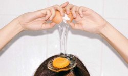 Как правильно мыть голову яйцом вместо шампуня: народные рецепты