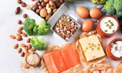 Почему белки важны при дефиците калорий