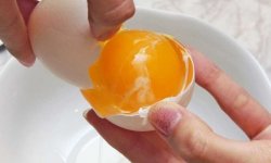 Как убрать первые морщинки с помощью домашней маски на яичном желтке