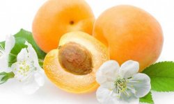 Как самостоятельно приготовить абрикосовый скраб для очистки лица