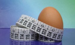Польза и вред яичной диеты для похудения