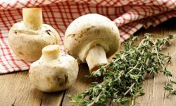 Как быстро и с пользой худеть на грибной диете